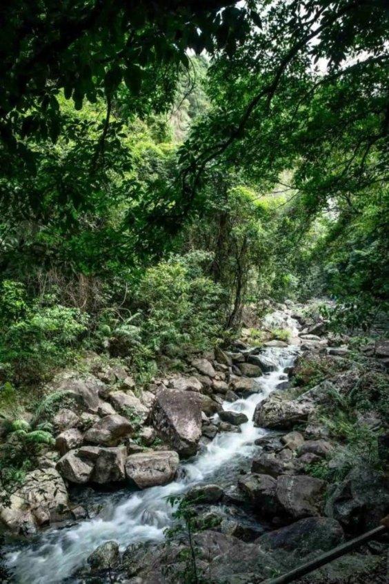 听我句劝：如果不富裕，还是老老实实开电车吧！